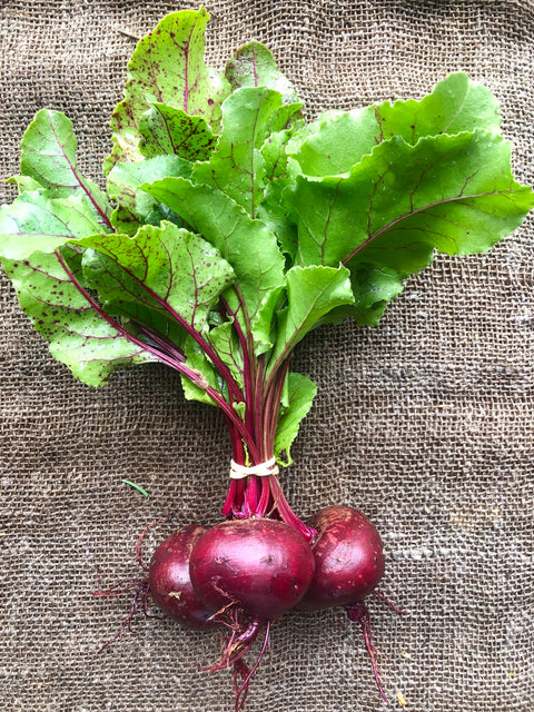 Beetroot - red, bunch