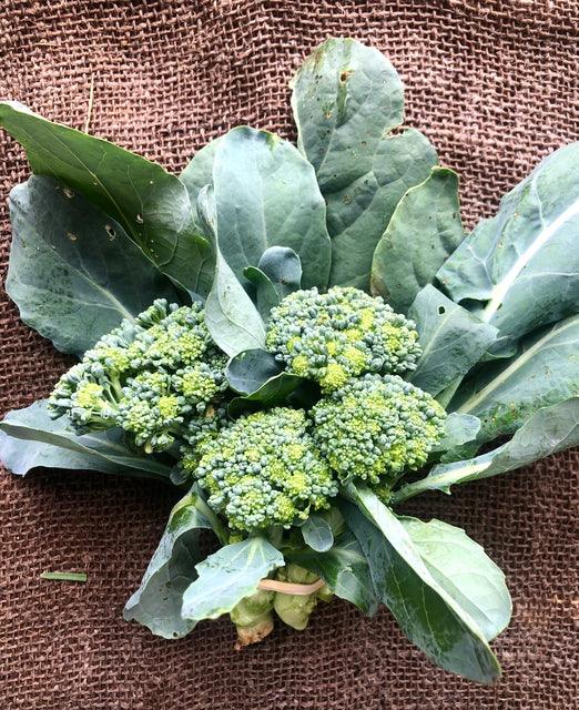 Broccoli/broccolini