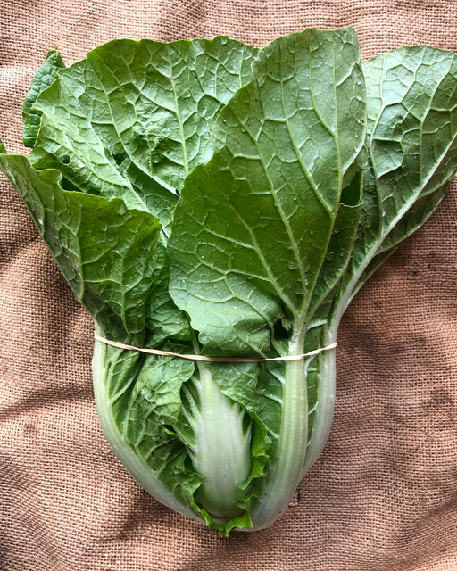 Chinese cabbage, each